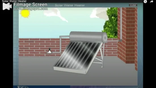 Chauffe-eau solaire à plaque plate en boucle ouverte avec collecteur de réservoir de stockage d'eau chaude directe